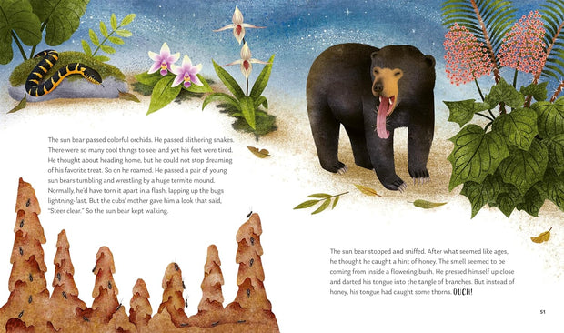 Secrets of the Forest 15 Bedtime Stories Inspired By Nature