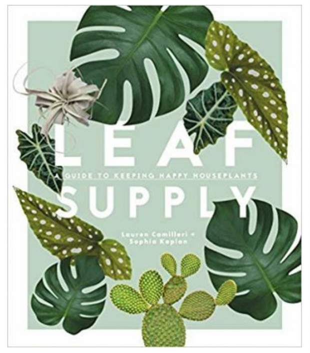 Leaf Supply A Guide to Keeping Happy Houseplants