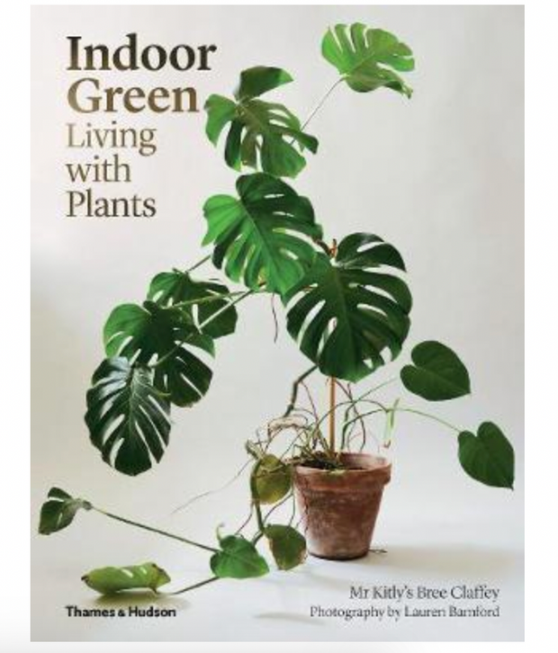 Indoor Green- Living with Plants