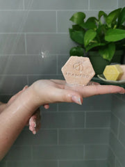 Rosehip & Lavender Shampoo Bar · Bubbles & Balms
